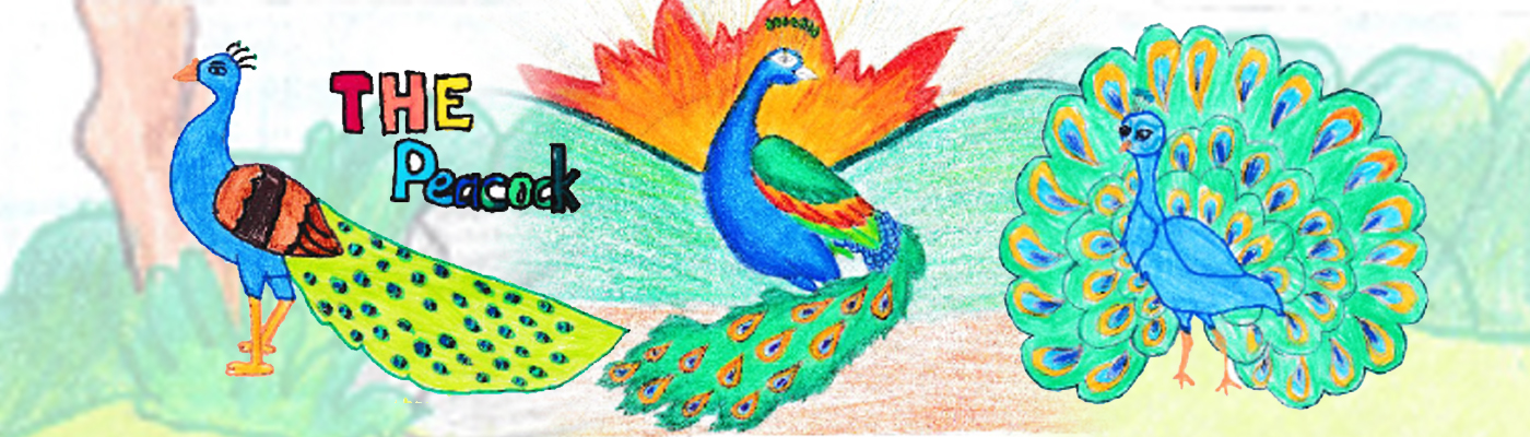 Story-making Competition – 5R