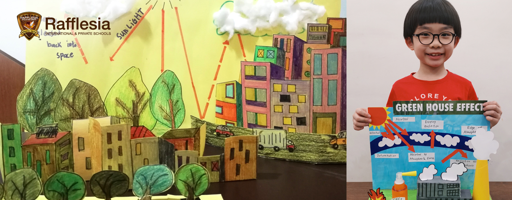 Greenhouse Effect Model