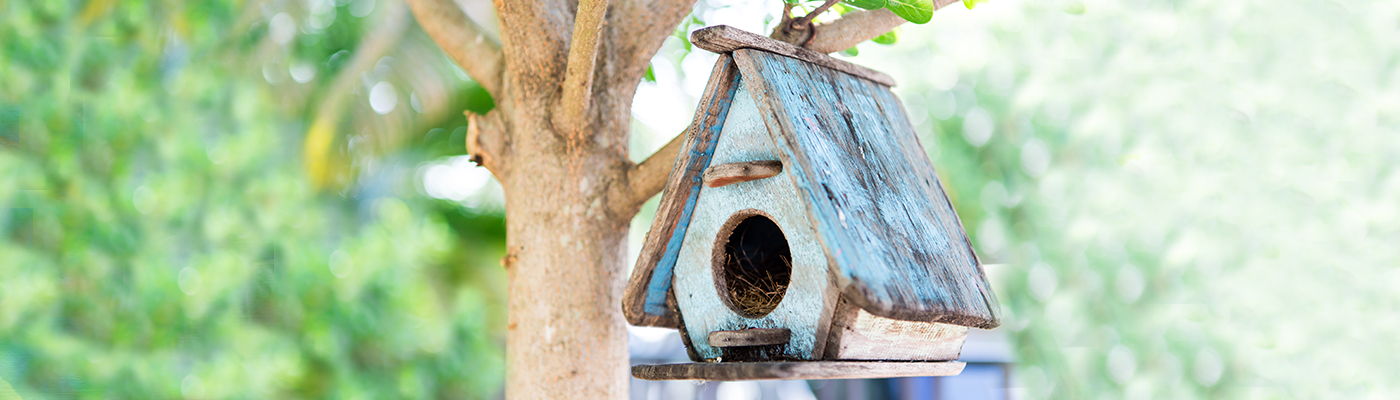 Bird House