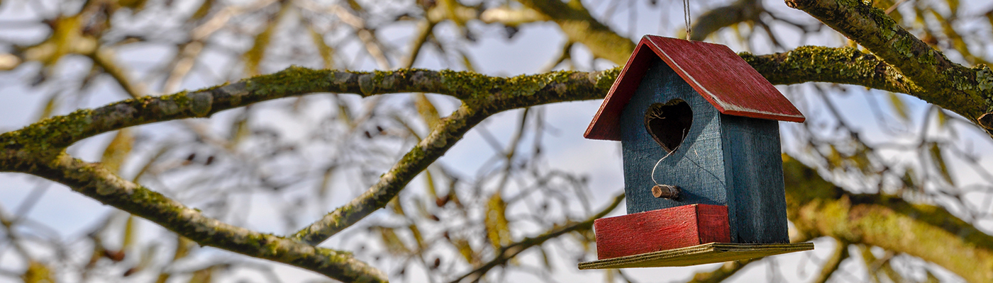 Bird House