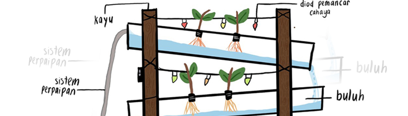 Aquaponics System