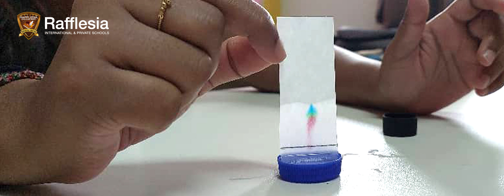 Chromatography Test