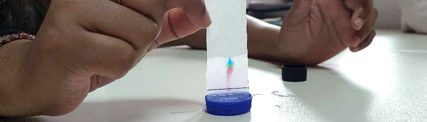 Chromatography Test