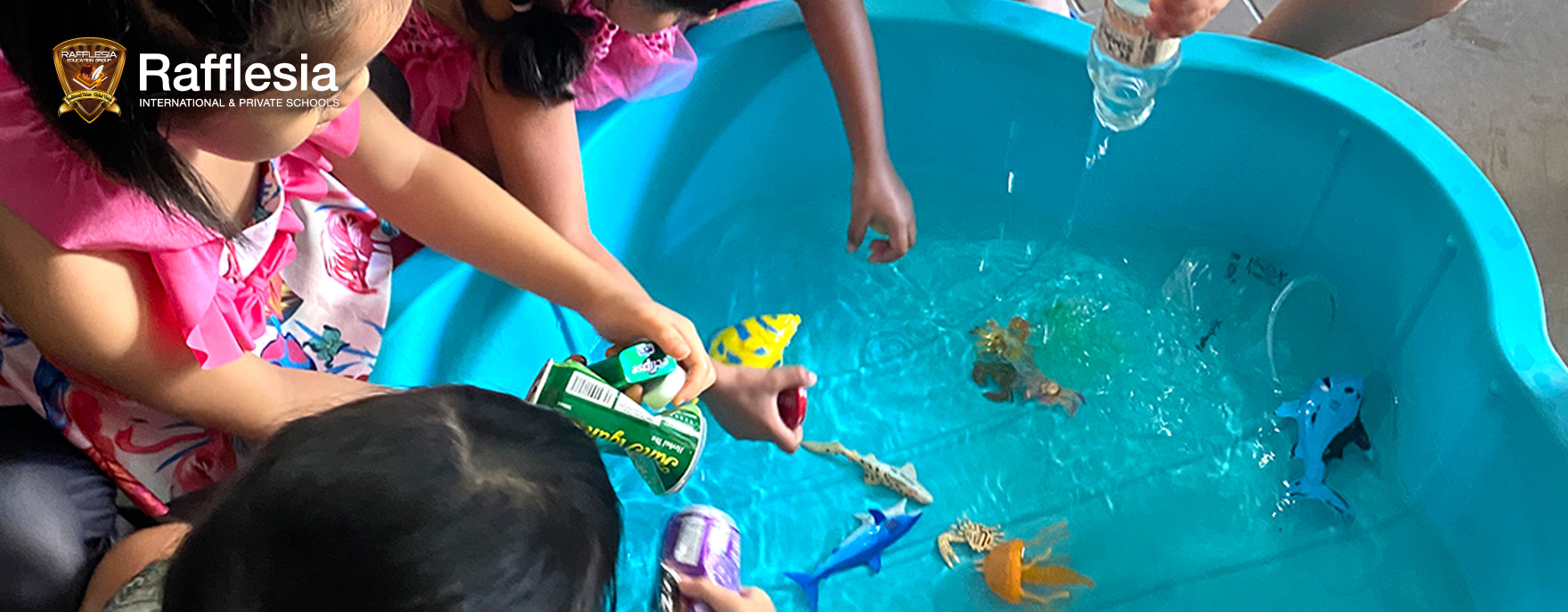 Exploring the Ocean Treasures