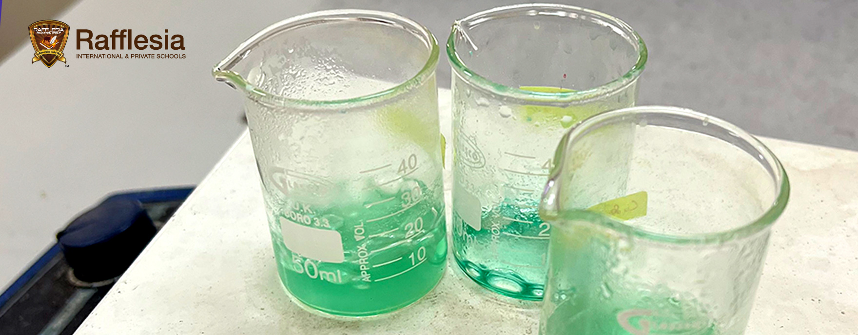 Unlocking the Magic of Science