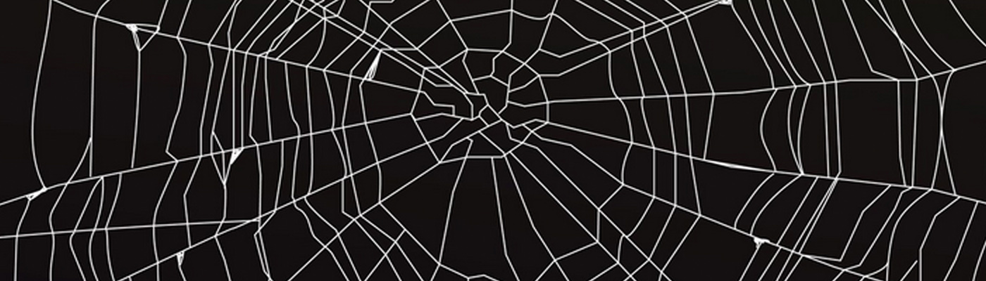 The Spider Web