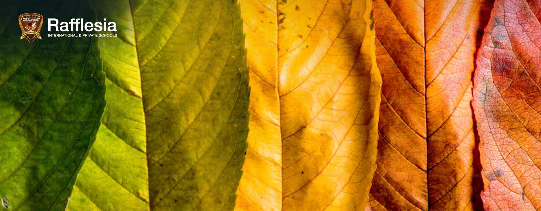 Exploring The World Around Us!