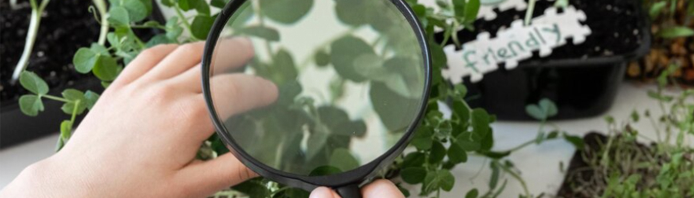 Exploring Nature, One Detail at a Time