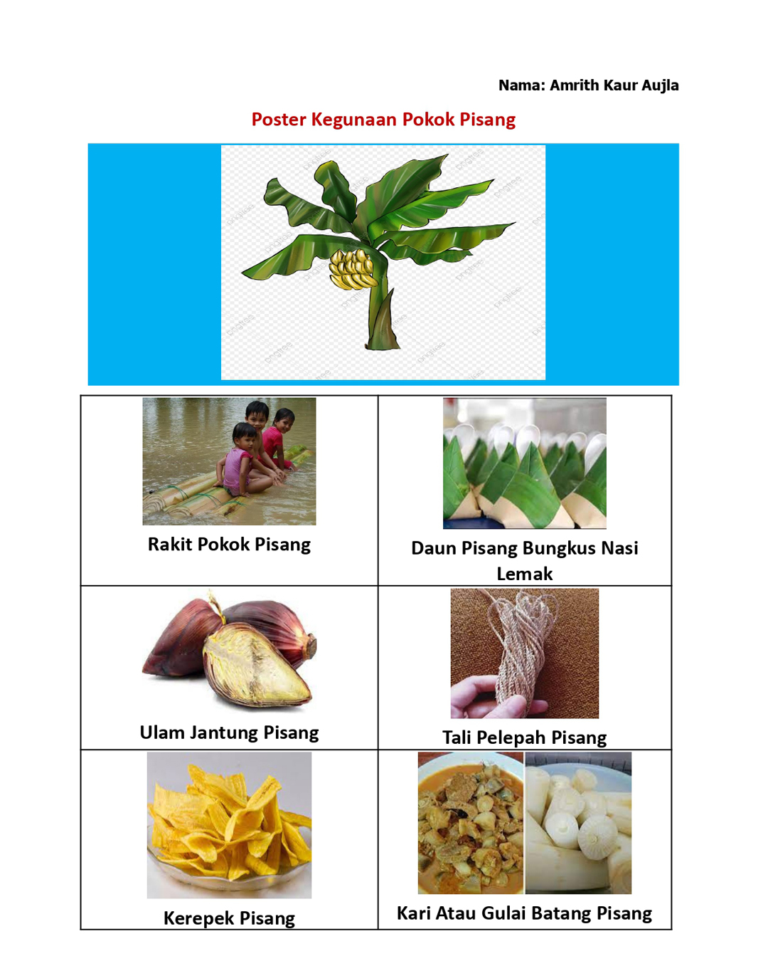 “Kegunaan Pokok” (Uses of Trees)