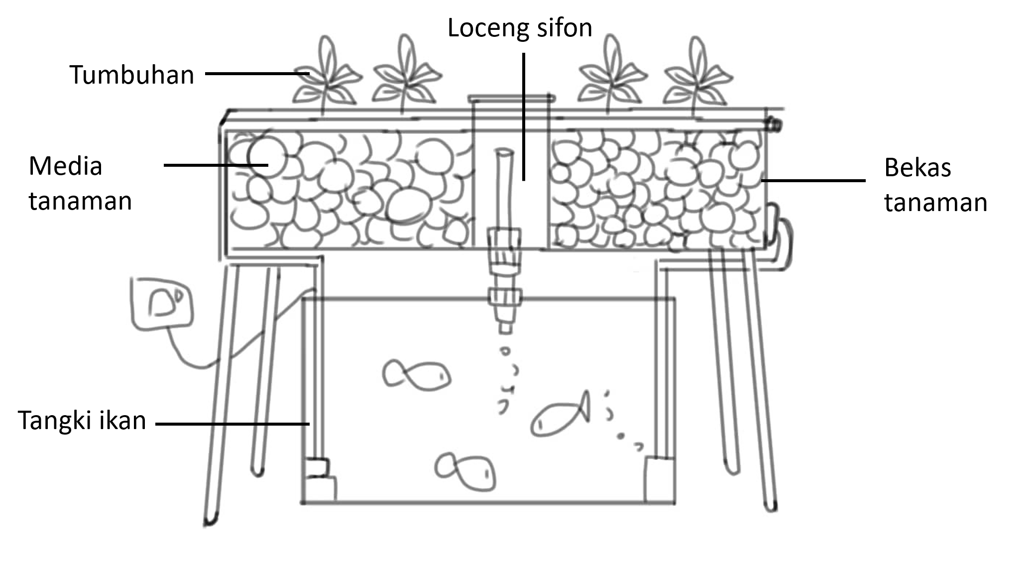 Aquaponics System