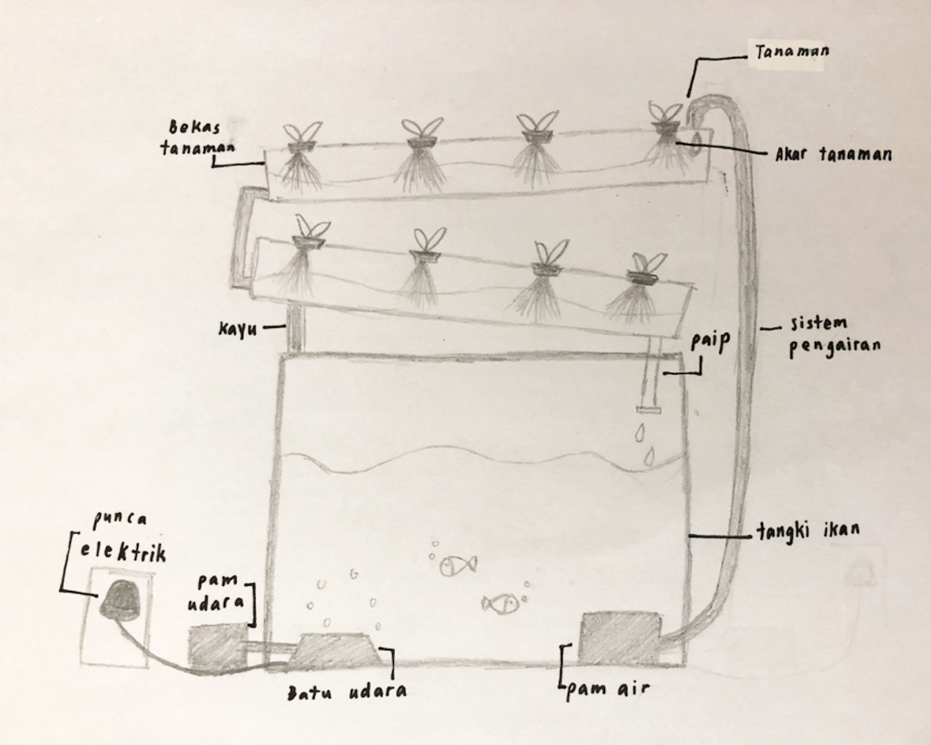 Aquaponics System