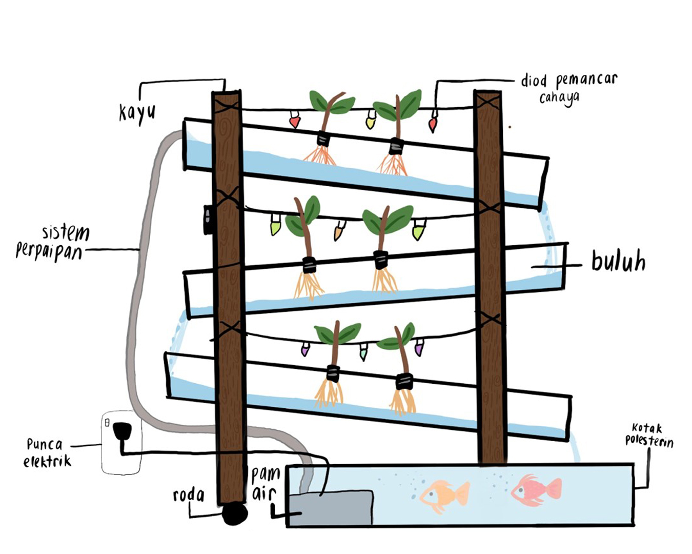 Aquaponics System