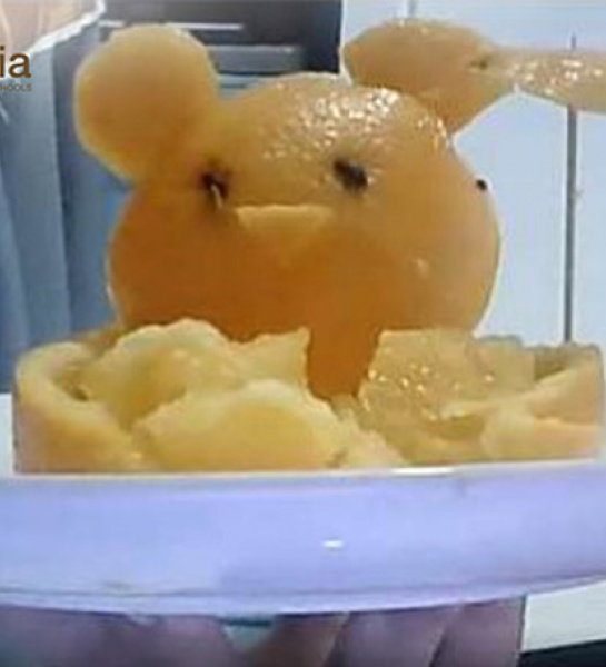 Food Presentation