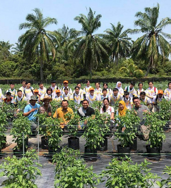 Chili Farm & Solar Power Plant