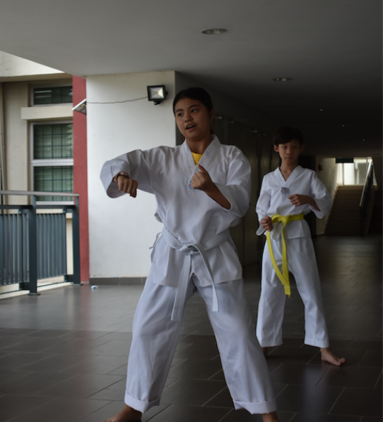 Taekwondo