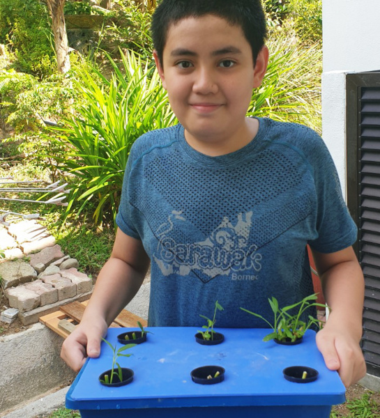 Hydroponic Planting