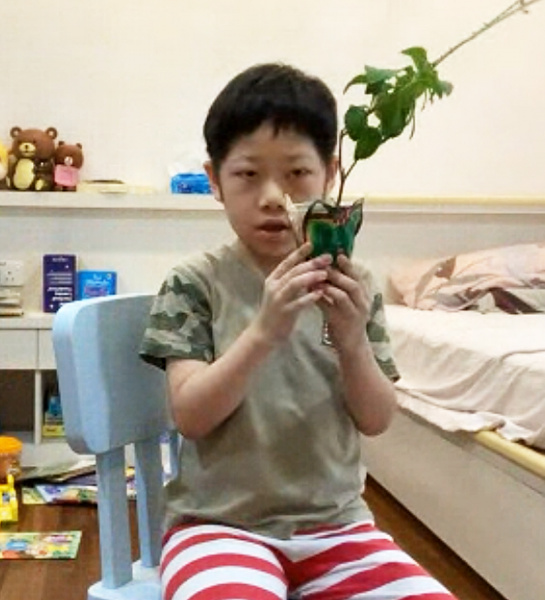 Flower Pot