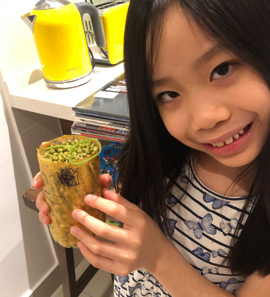 Flower Pot