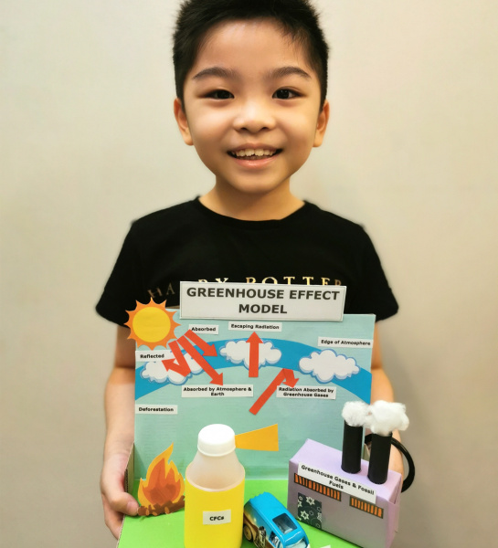 Greenhouse Effect Model