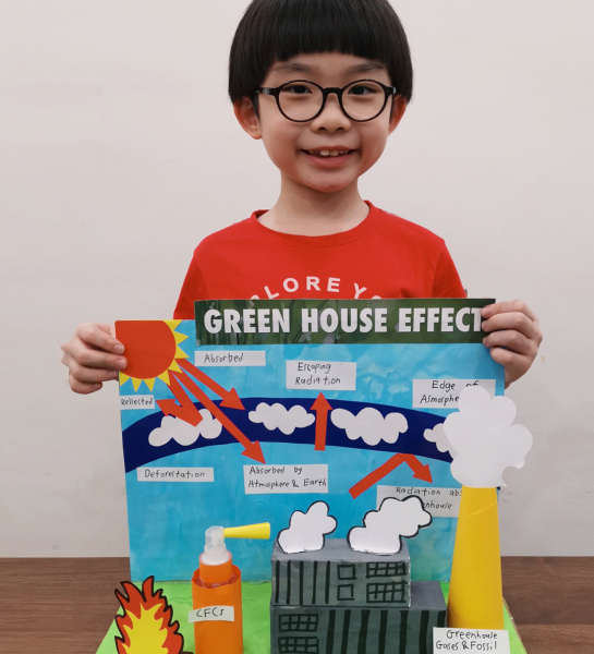 Greenhouse Effect Model