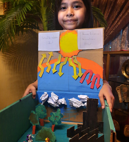 Greenhouse Effect Model