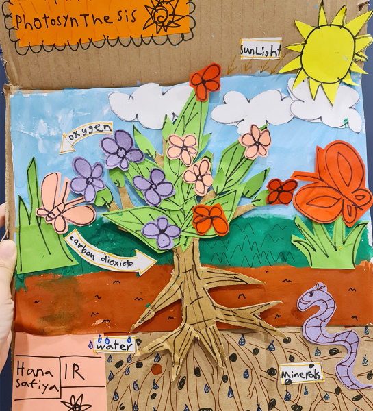 Photosynthesis Model