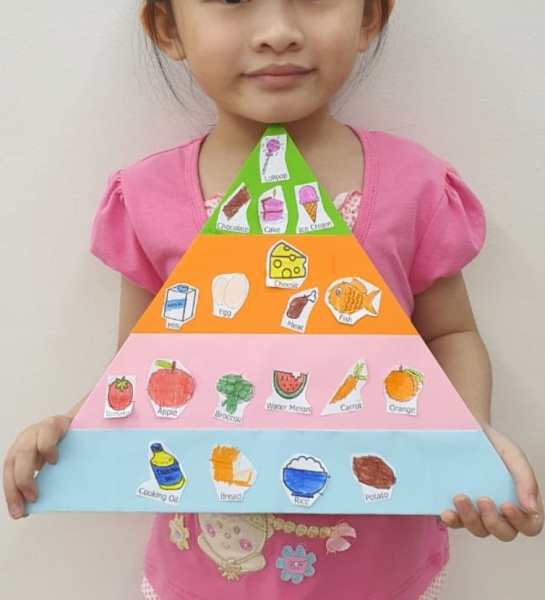 Food Pyramid Model