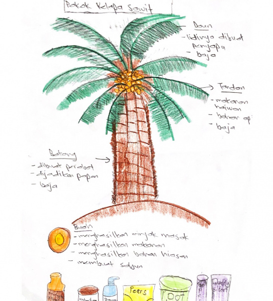“Kegunaan Pokok” (Uses of Trees)