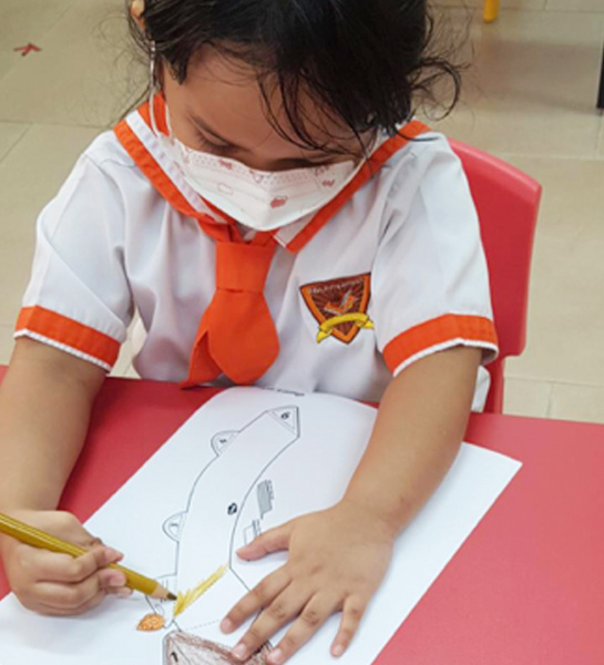 Explore and Express to 3D shapes
