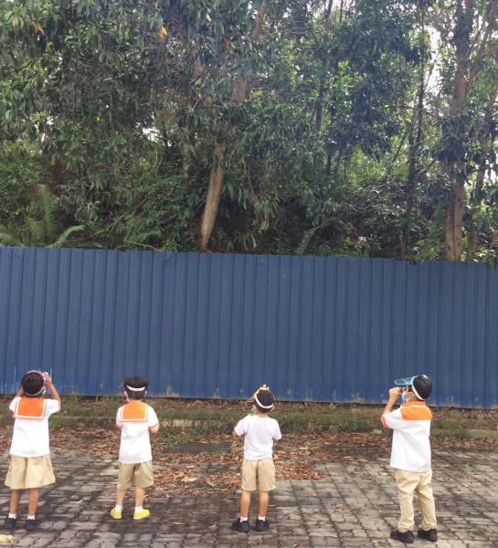 Birdwatching