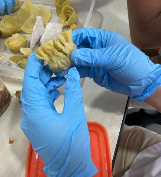 Let’s Make Traditional Chinese Dumplings