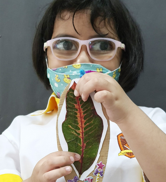 Leaf Bookmarks