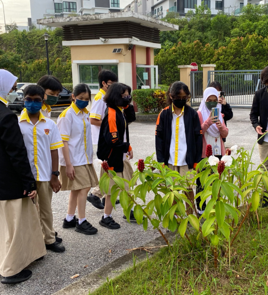 Botany Walk