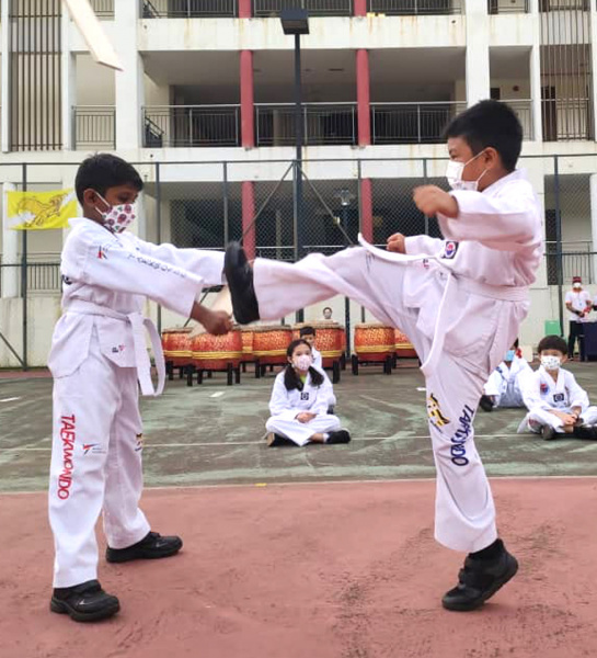 Taekwondo Demonstration