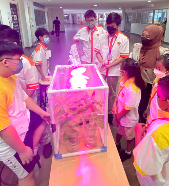 Science Week and Exhibition