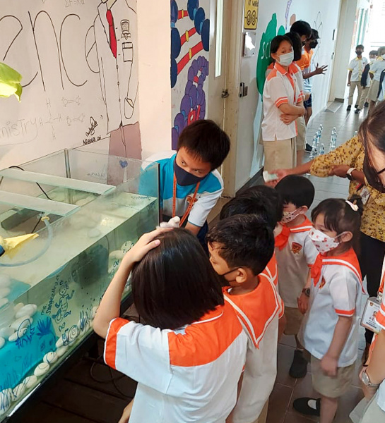 Science Week and Exhibition