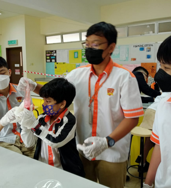 Science Week