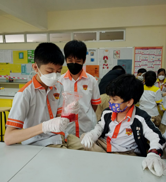 Science Week