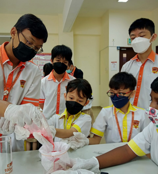 Science Week