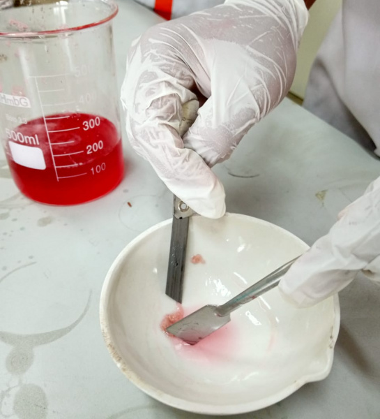 Science Week