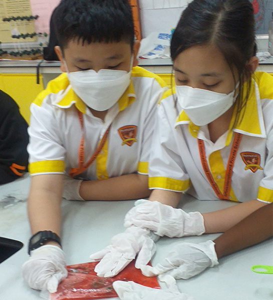 Science Workshop