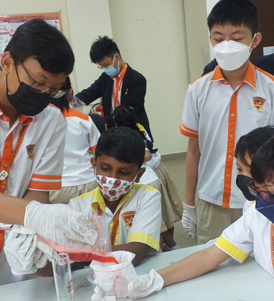 Science Workshop