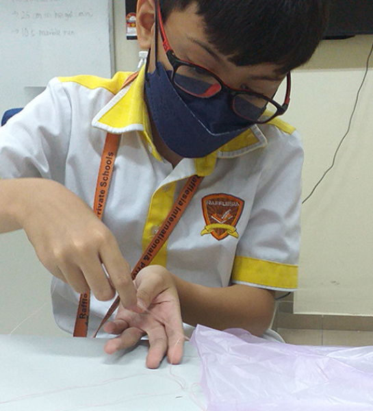 Science Workshop