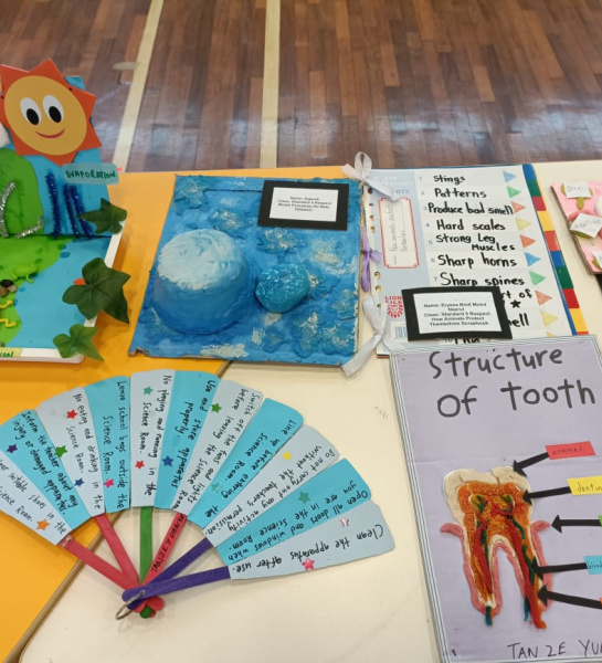 Students’ Work Display