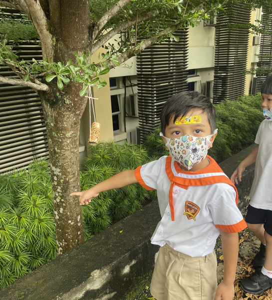 Bird Seed Feeding Activity