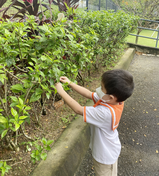 Bird Seed Feeding Activity