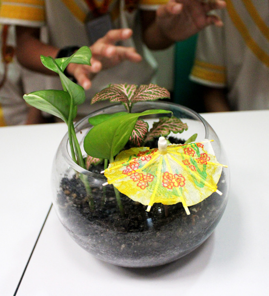 Terrarium Workshop