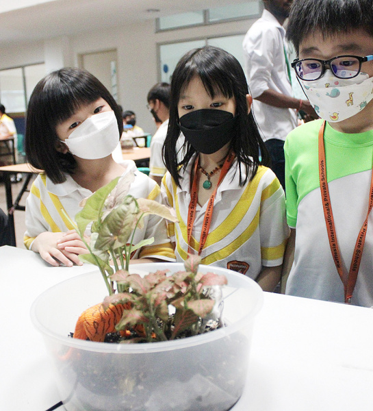 Terrarium Workshop