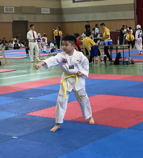 Taekwondo Stars!