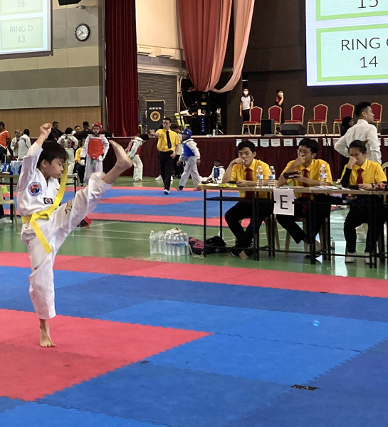 Taekwondo Stars!